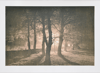Night trees, Honley. Print A.