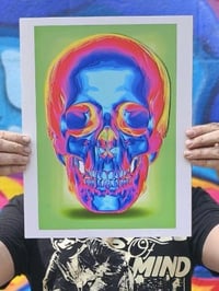 Matt Letrs Thermal Skull print (Green)