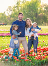 $300-$525 Tulip Sessions at Holland Ridge Farms 5/10/15/images