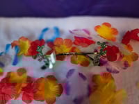 Image 5 of Nanaz Glam Glasses