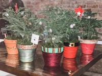 Image 2 of Christmas on Main | JSP + Plant Parlor Event