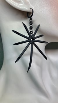 Image 2 of BLACK URCHIN | Radiata Noir