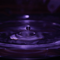 Image 3 of  "Purple Rain" 