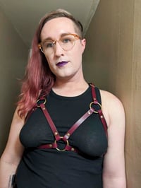 Image 1 of Anu leather chest harness