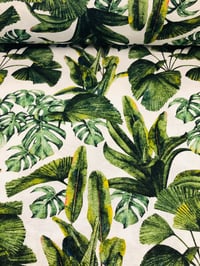 Image 3 of Loneta - Monstera - Verde - 8€/m