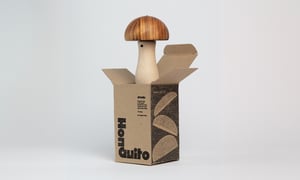 Image of Honguito: Mushroom Thing