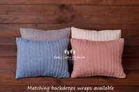 Image 1 of Amelia Pillow
