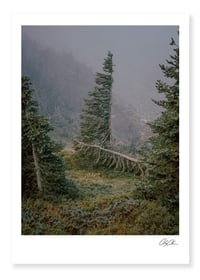 Image 5 of Cascadia II - Cody Cobb