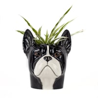 Image 2 of Pot à crayons / plantes Bulldog