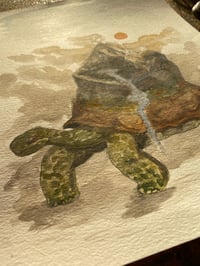 Image 5 of Tortue-Monde 