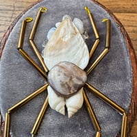 Image 2 of Spider (a, 2x2.5 inches)