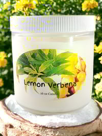 Image 1 of Lemon Verbena