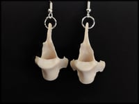 Image 3 of Fox vertebrae bone earrings