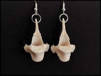 Image 1 of Fox vertebrae bone earrings