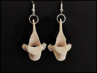 Image 2 of Fox vertebrae bone earrings