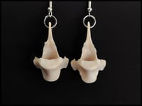 Image 4 of Fox vertebrae bone earrings