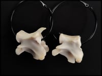 Image 1 of Fox vertebrae bone hoops (middle size)