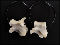Image 2 of Fox vertebrae bone hoops (middle size)