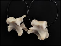 Image 3 of Fox vertebrae bone hoops (middle size)