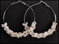 Image 2 of Vertebrae Bone hoops in 2 Sizes