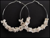 Image 1 of Vertebrae Bone hoops in 2 Sizes