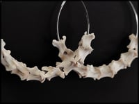 Image 3 of Vertebrae Bone hoops in 2 Sizes