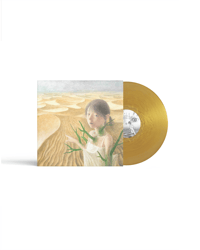 Image 1 of EVANORA UNLIMITED / PERFECT ANSWER 12" / GOLD (1ST PRESSING) (PRE-ORDER)