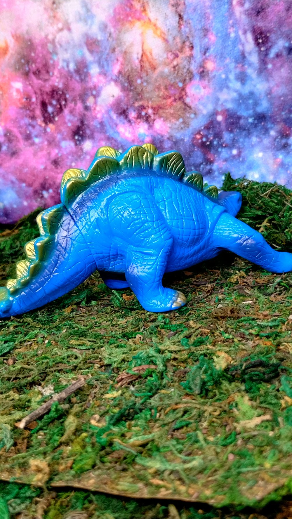 pachi stegosaurus