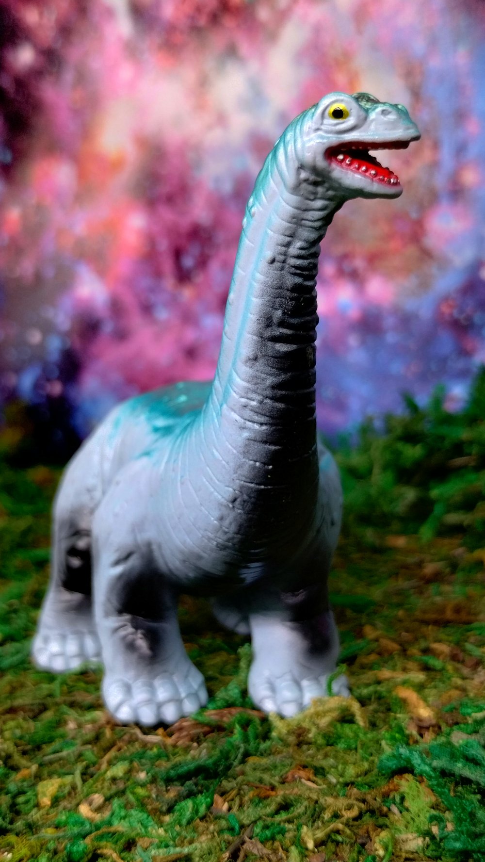 pachi apatosaurus