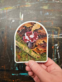 Mushroom Prince Sticker