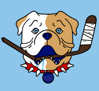 Image 2 of SHORESY Custom Hockey Jersey - FREE SHIPPING