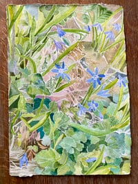 Image 3 of 'Watch the tiny flowers grow' Print
