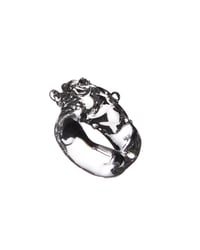 Image 4 of CRYSTAL TWIST
