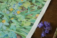 Image 4 of 'Fairyland under the trees' Print