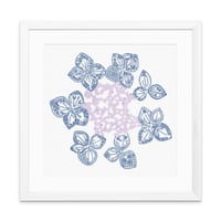 Lacecap Hydrangea Limited Edition Archival Giclee Print