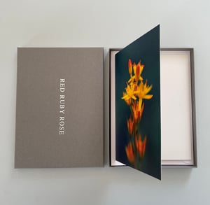 Image of Large greetings cards with gift box - six original designs with envelopes. Brights collection