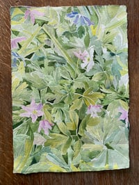 Image 3 of 'Wood anemones' Print