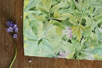 Image 4 of 'Wood anemones' Print