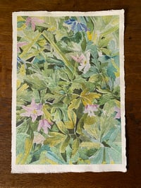 Image 2 of 'Wood anemones' Print