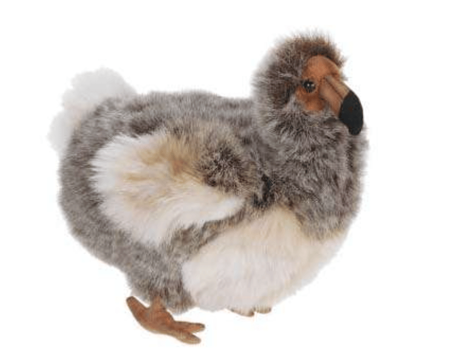 Image of Cockatiels, Kiwis , Crows a Dodo Bird, and A Flying Fish!