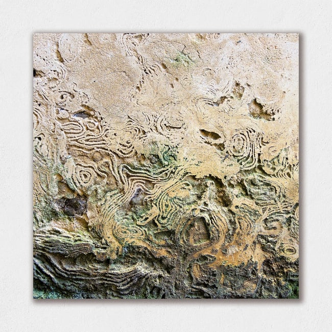 Nature Takeover | In Between