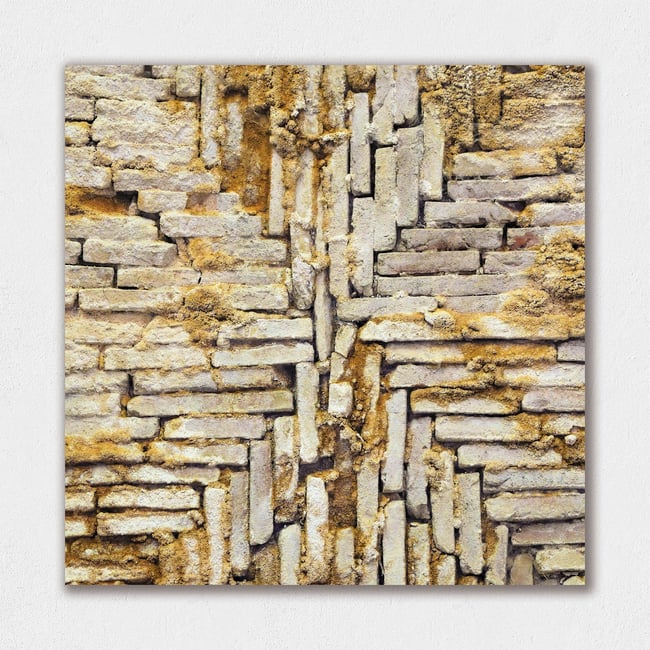 Nature Takeover | In Between