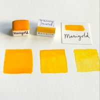 Marigold watercolour