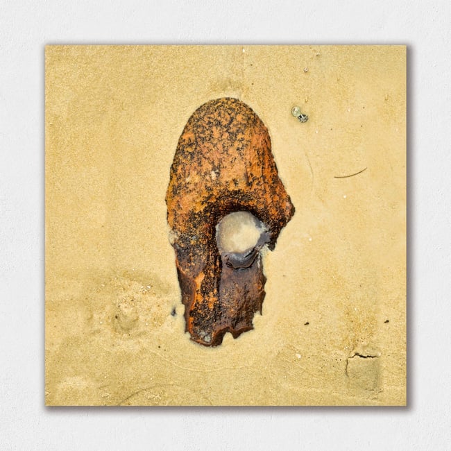 Pareidolia | Guardians