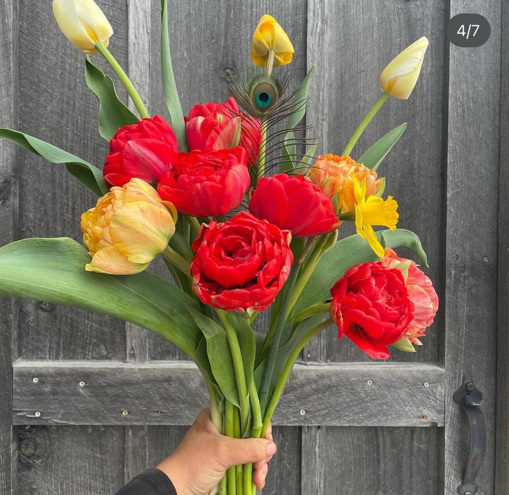 Mother’s Day Peony Tulip Bouquets (May 9 + 10)