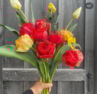 Image 3 of Peony Tulip Bouquets (Farm Pickup Dates May 1 - 9)