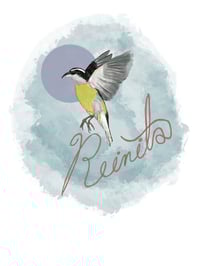 Image 5 of Libro “Ángela y los estragos del Alemán” por Rosa María  Ortiz