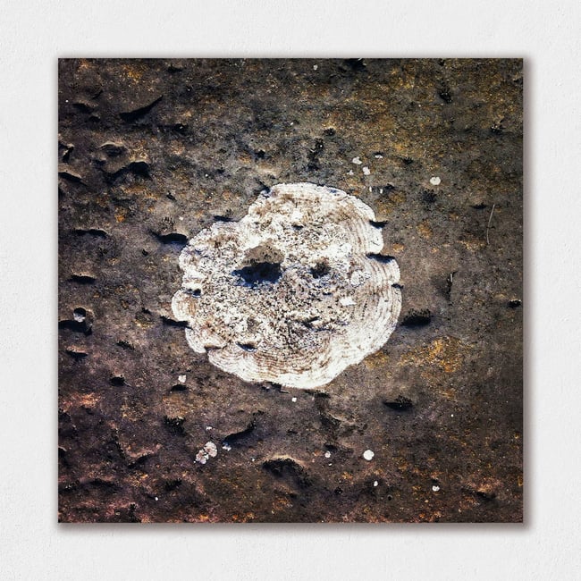 Pareidolia | Rudiments