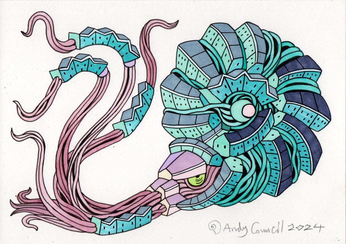 Image of Ammonite - Turquoise/Purple