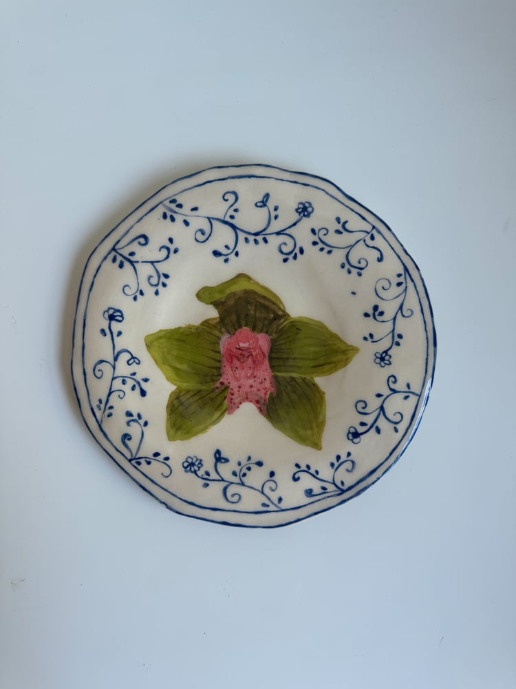 Image of green flowered orchid plate